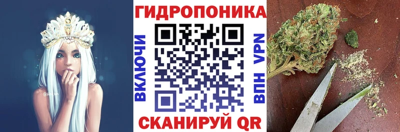 Купить Карпинск А ПВП  Кокаин  Меф  Канабис  Лсд 25  ГАШ 