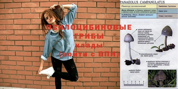героин Алзамай