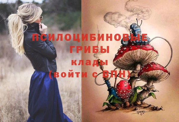 героин Алзамай